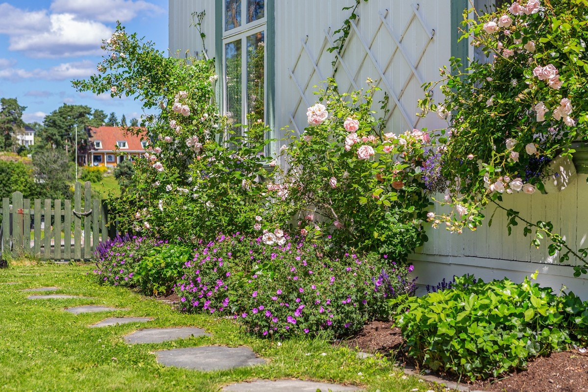 På siden av huset er det skiferlagt gangsti, åpent plenareal og en skiferlagt uteplass. Gangstien fortsetter rundt på baksiden av boligen hvor det er stor, steinsatt terrasse og gjerde med port. Galleribilde