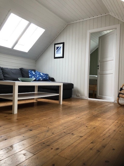 Stue med gjennomgående takvinduer. Galleribilde