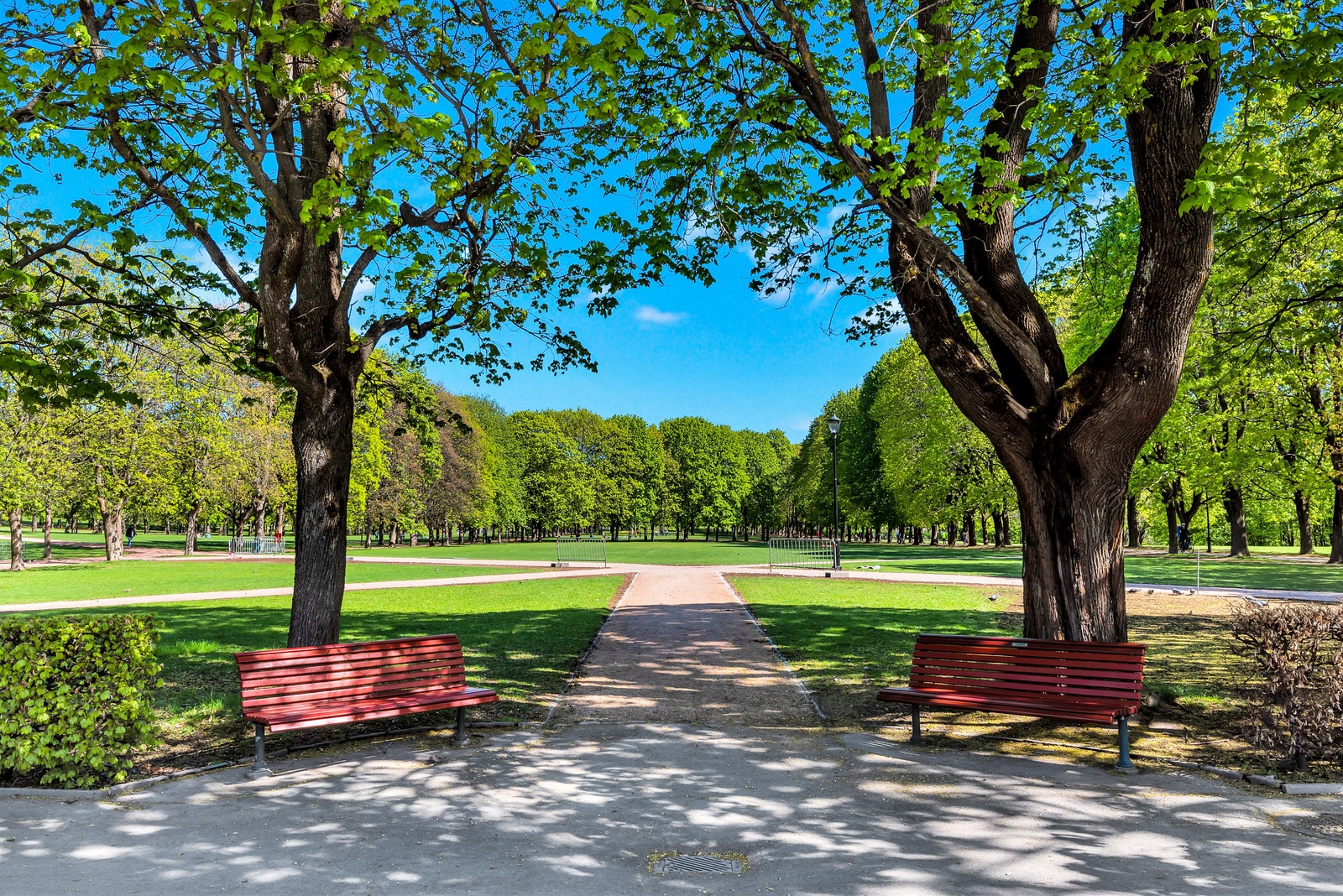 Frognerparken Galleribilde
