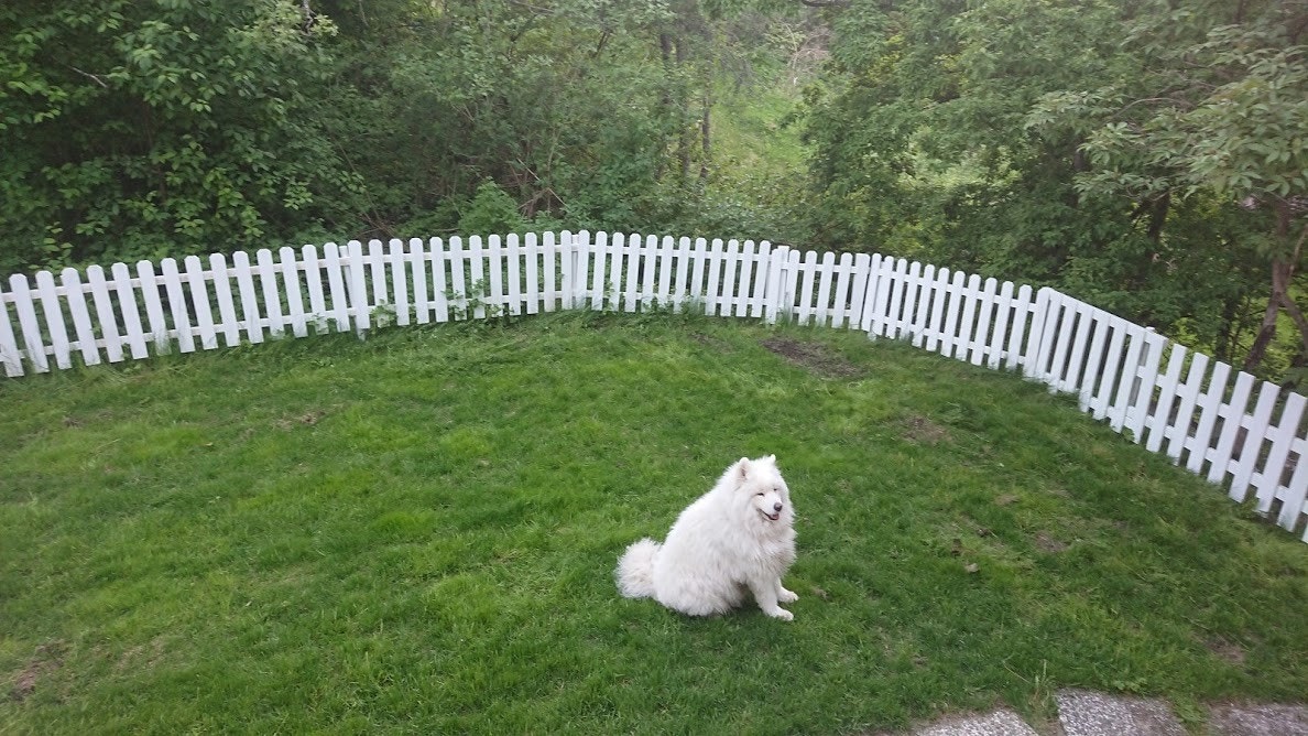 Her er bilde av hagen og den tidligere sjefen i huset. Galleribilde