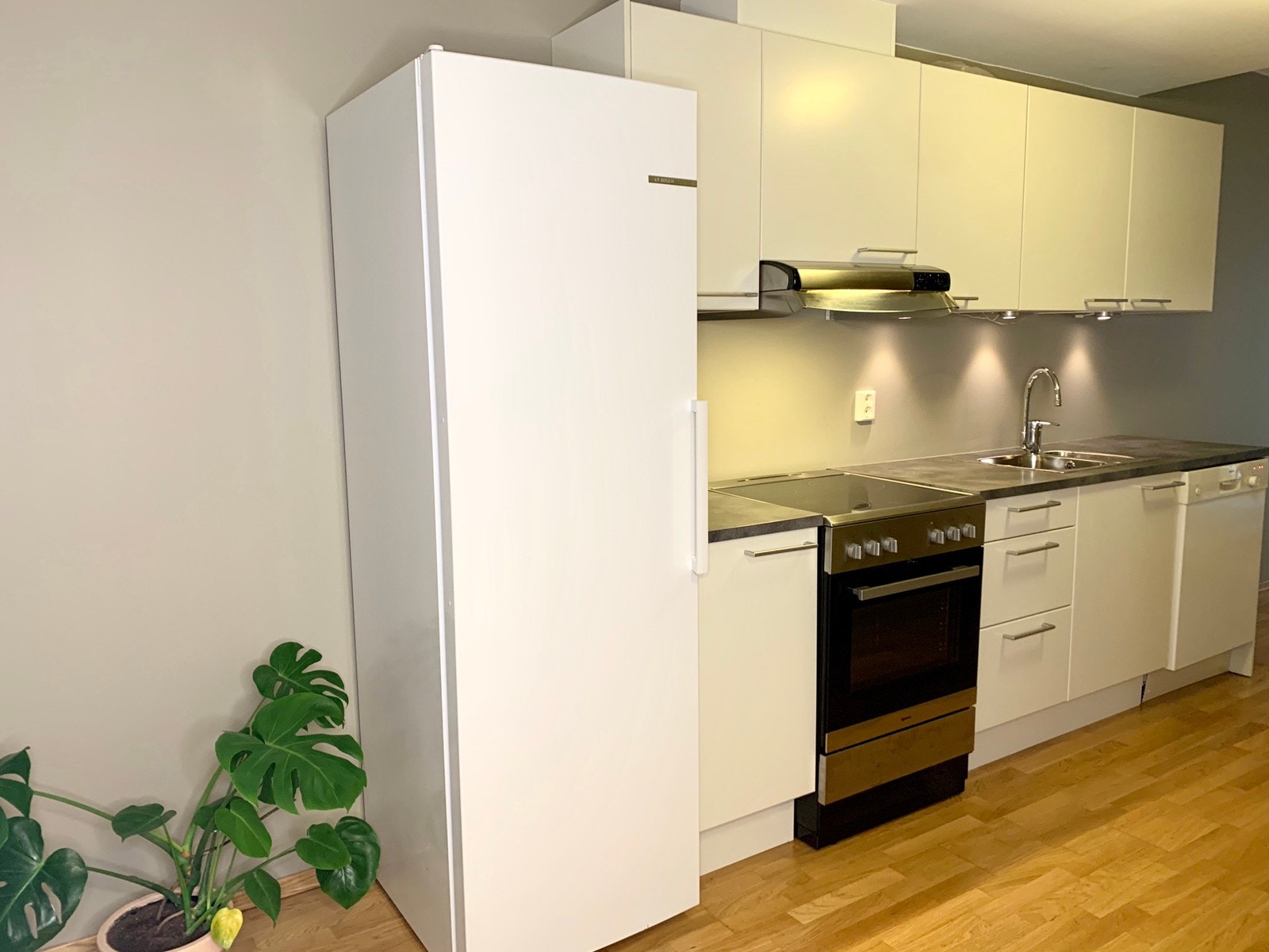 Praktisk kjøkken med nyere hvitevarer Galleribilde