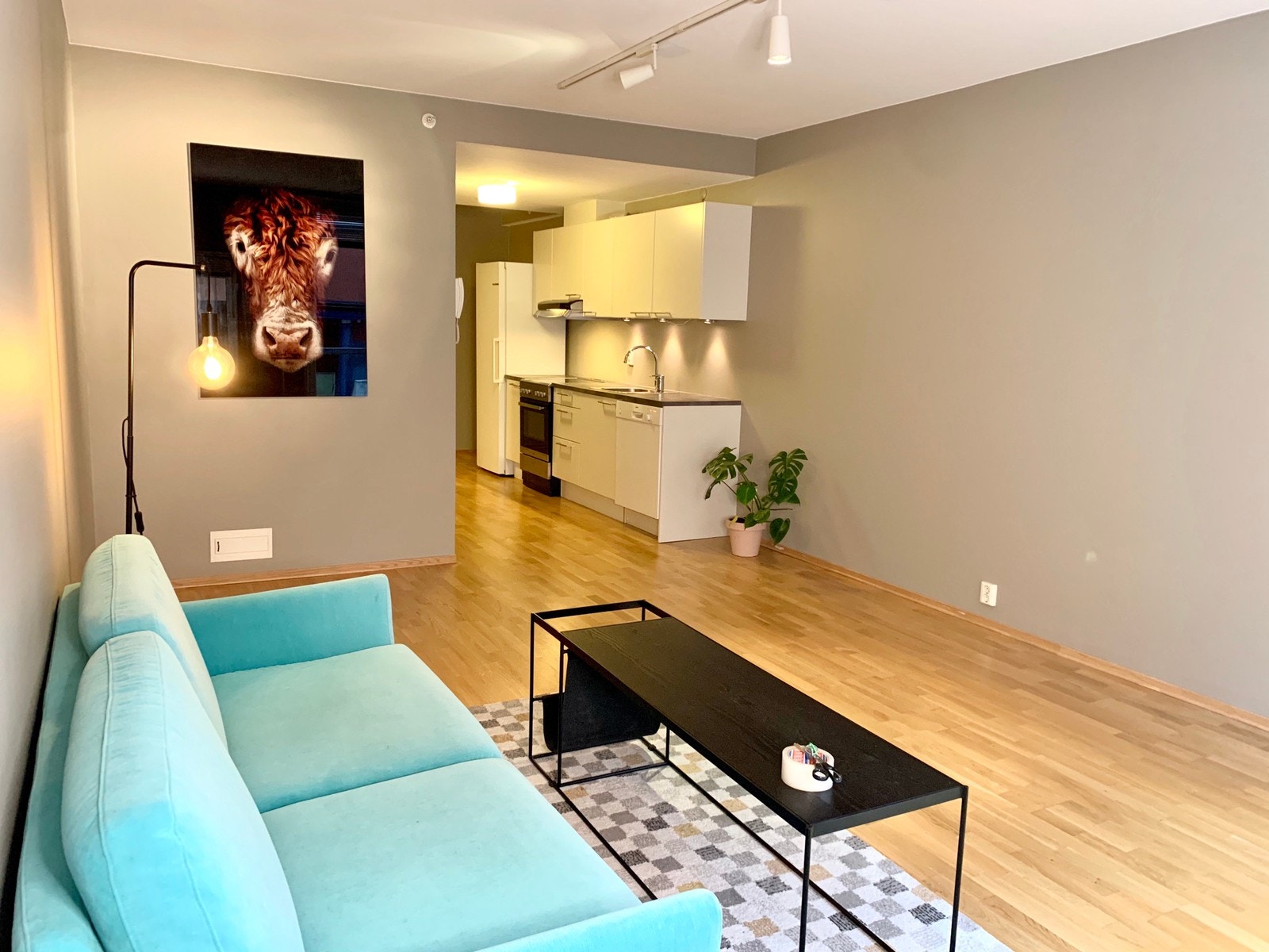 stue/kjøkken Galleribilde