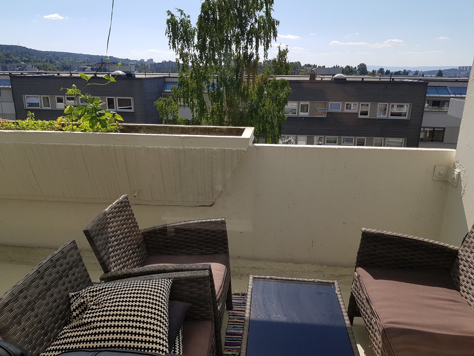 Fellesarealer Galleribilde