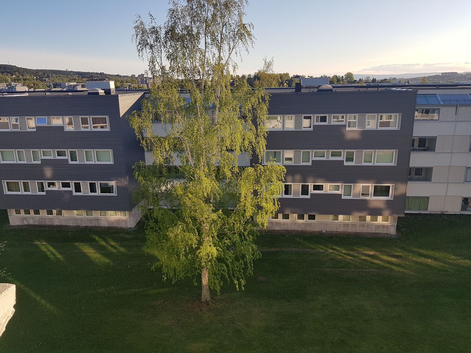 Fellesarealer Galleribilde