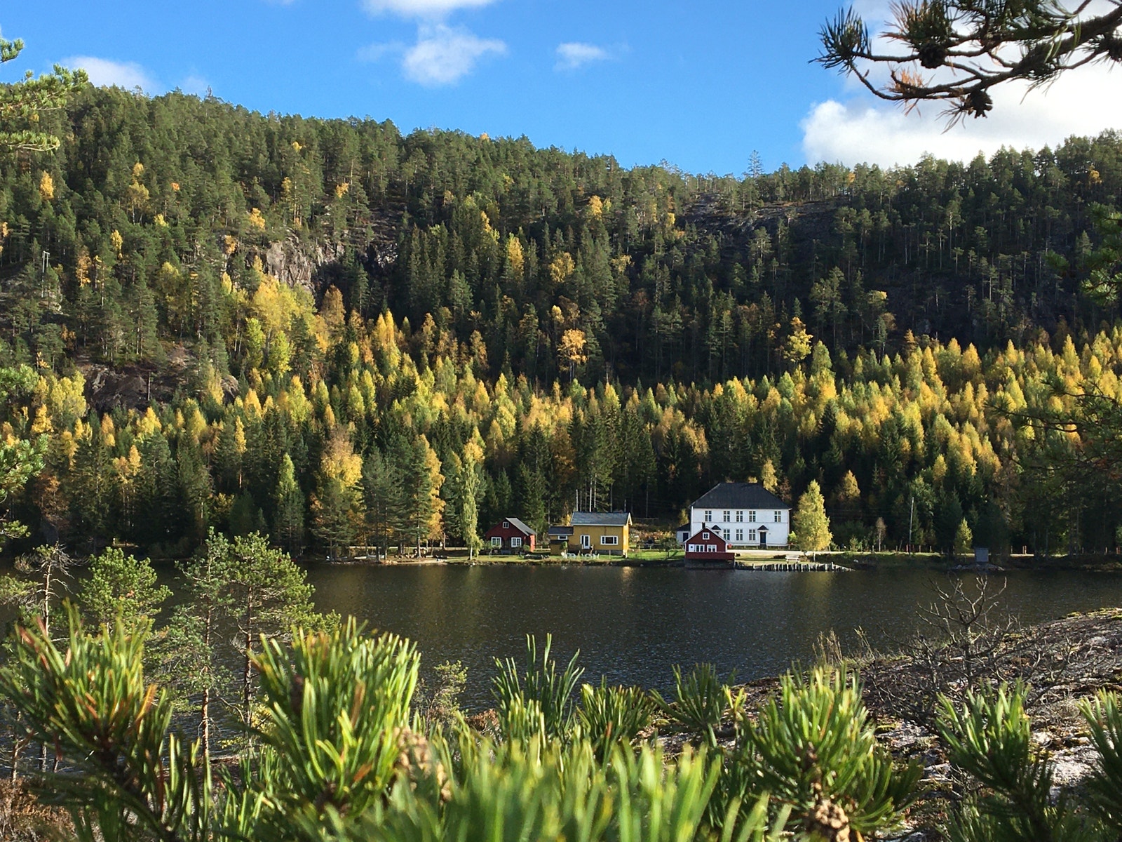 Fyrismoen Galleribilde