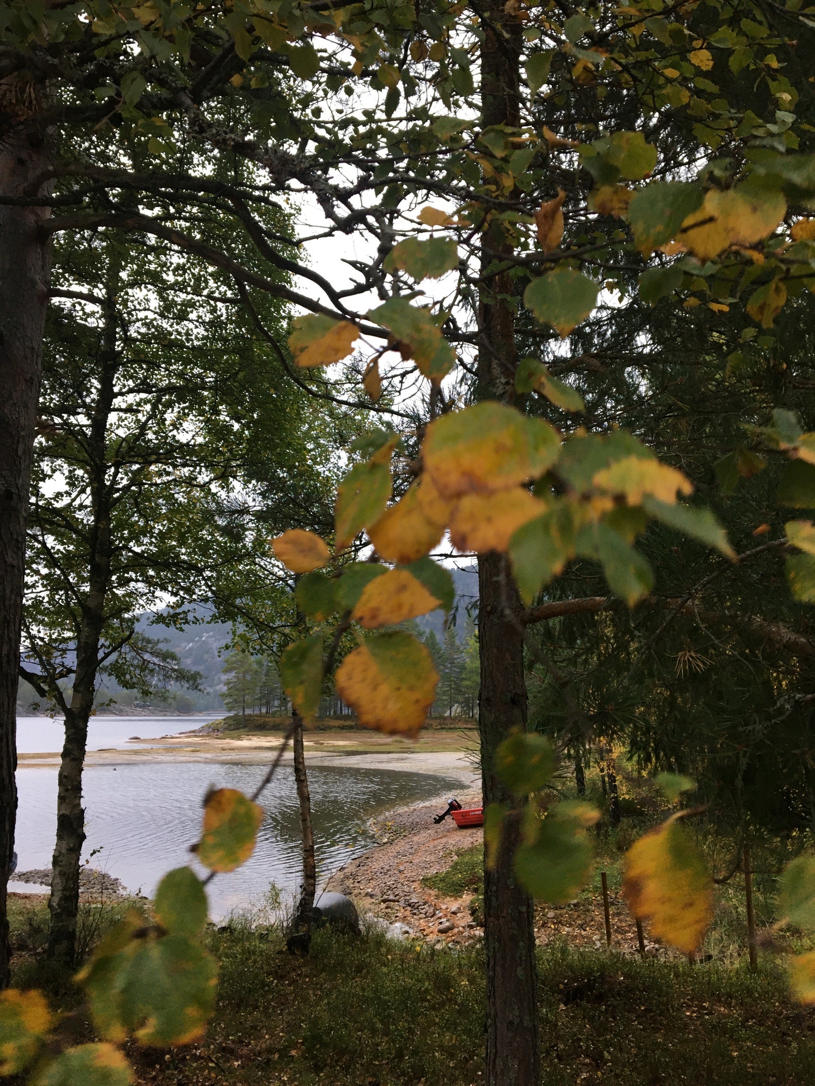 Haust på Fyrismoen Galleribilde