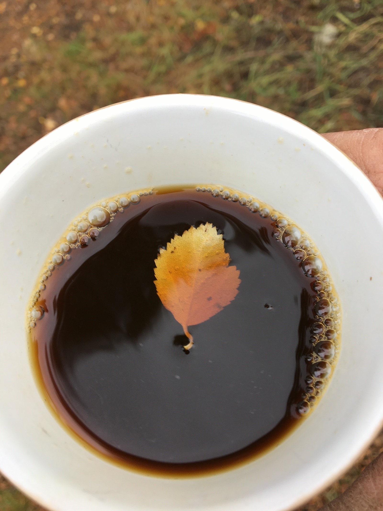 Kaffi i haustvèr Galleribilde