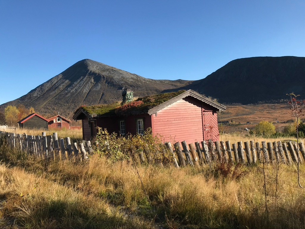 Nærområde Galleribilde