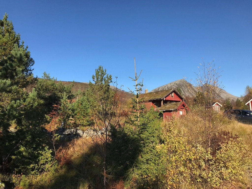 Nærområde Galleribilde
