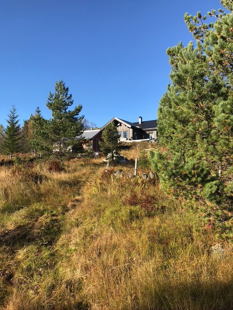 Nærområde Galleribilde