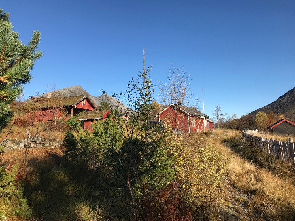 Nærområde Galleribilde