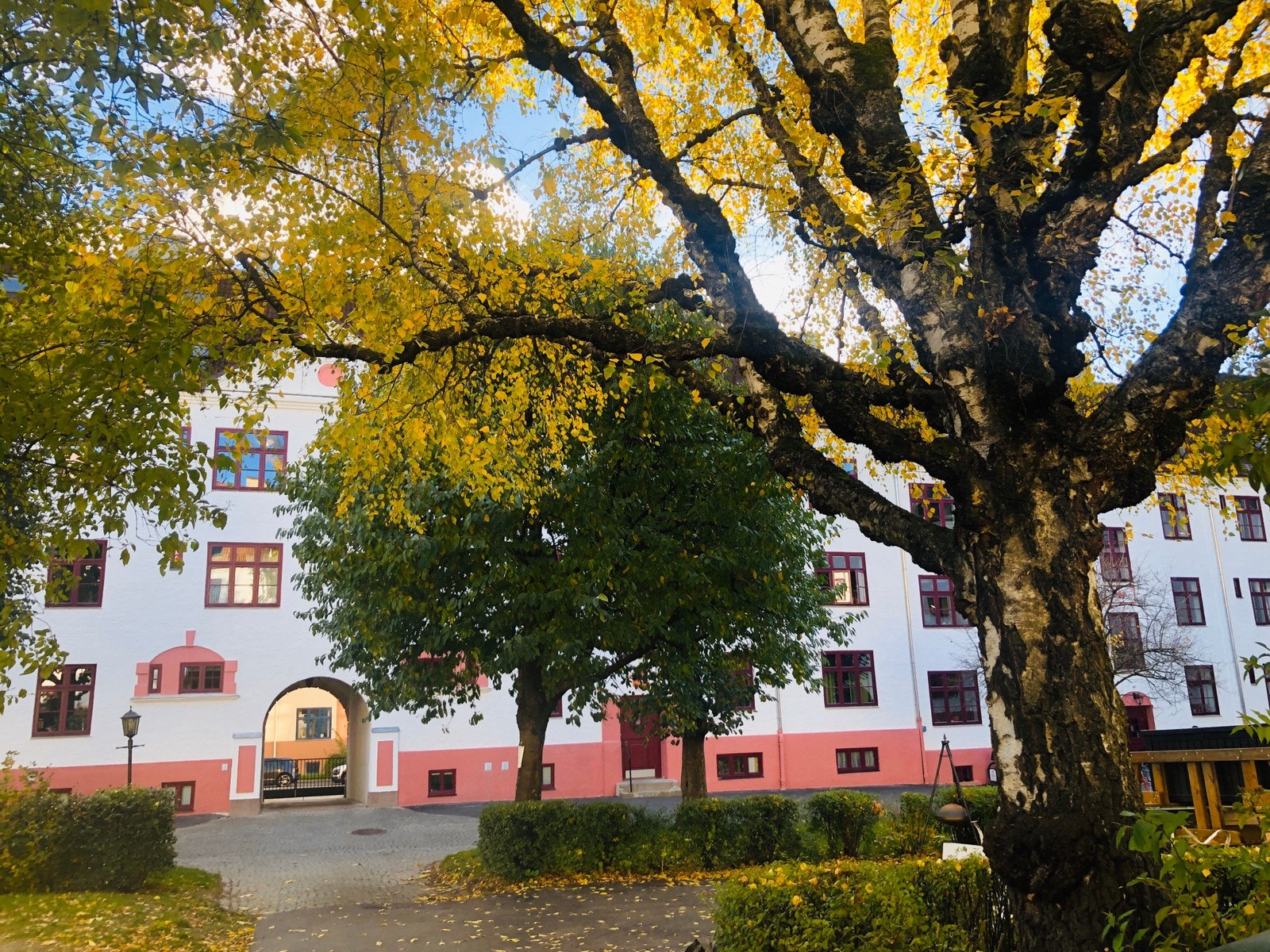 Bakgården Galleribilde