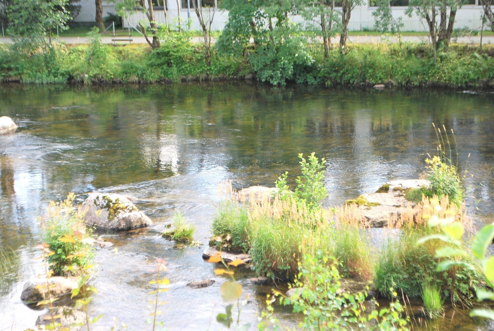 Figgjoelva Galleribilde