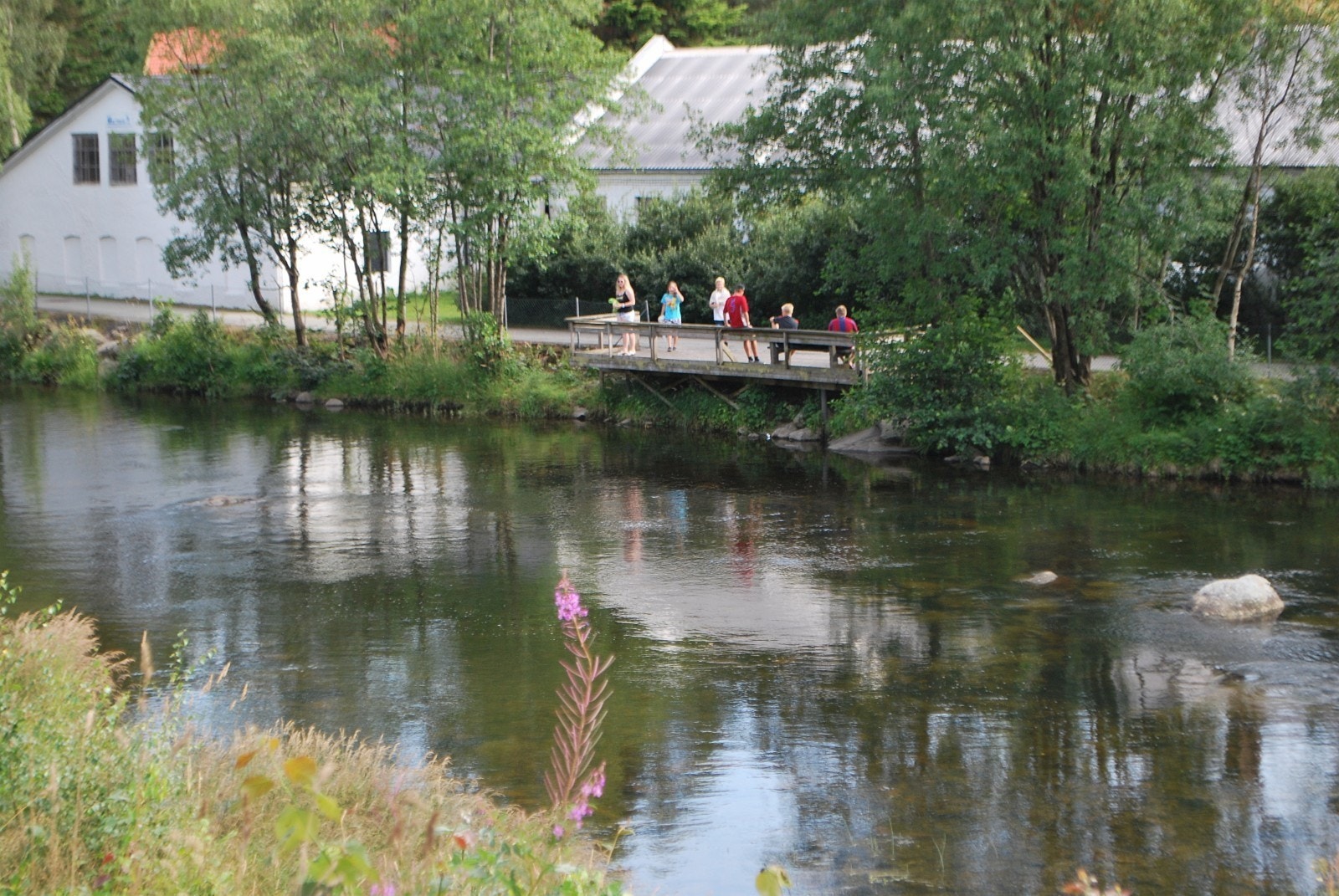 Figgjoelva et fluekast unna Galleribilde