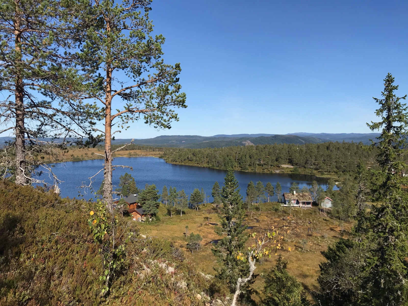 Mot Nord Galleribilde