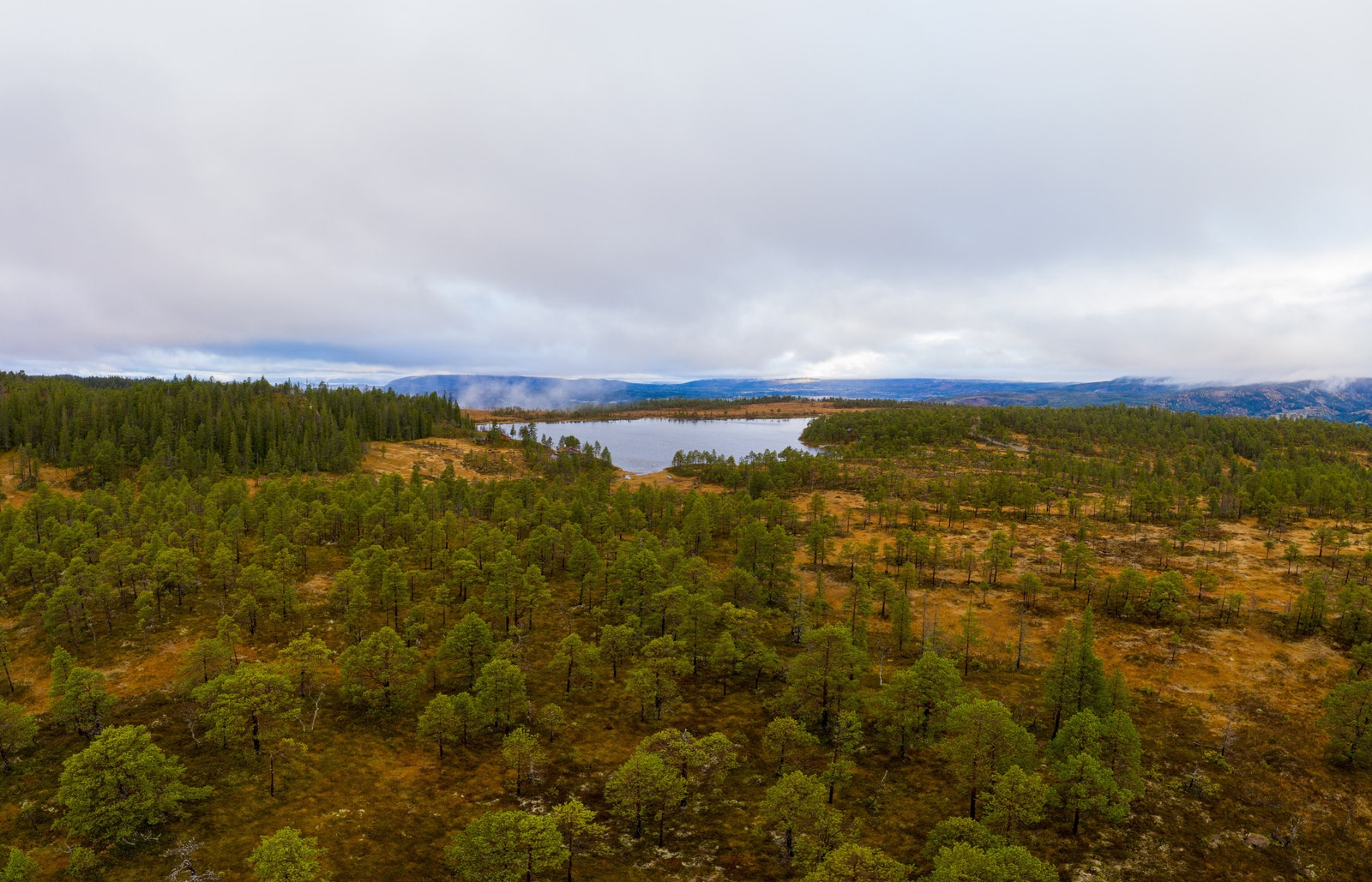 Oversikt fra øst Galleribilde