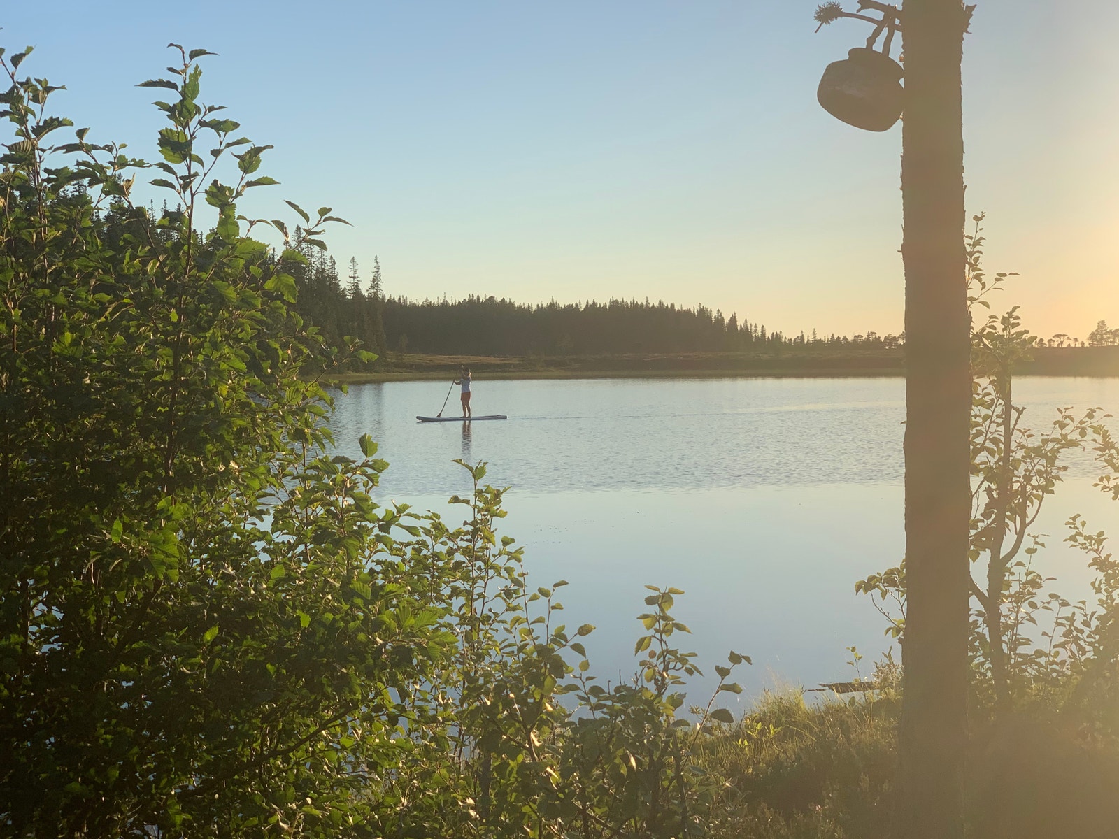 Friluftsliv Galleribilde