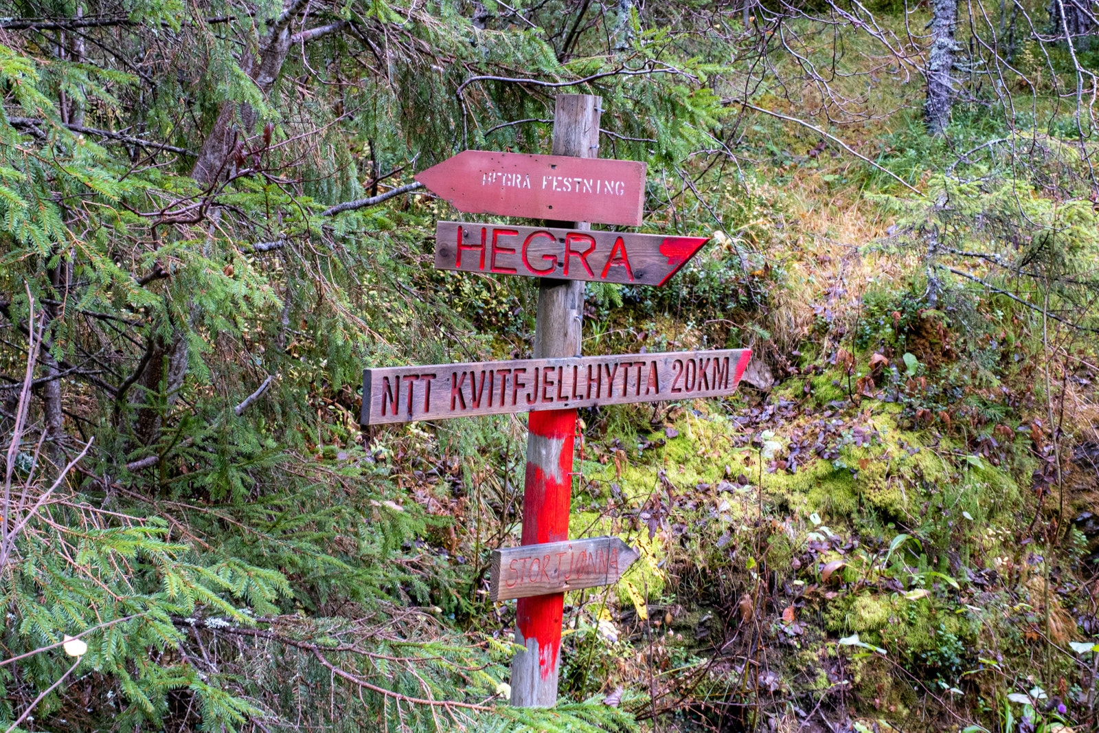 Veien opp Galleribilde