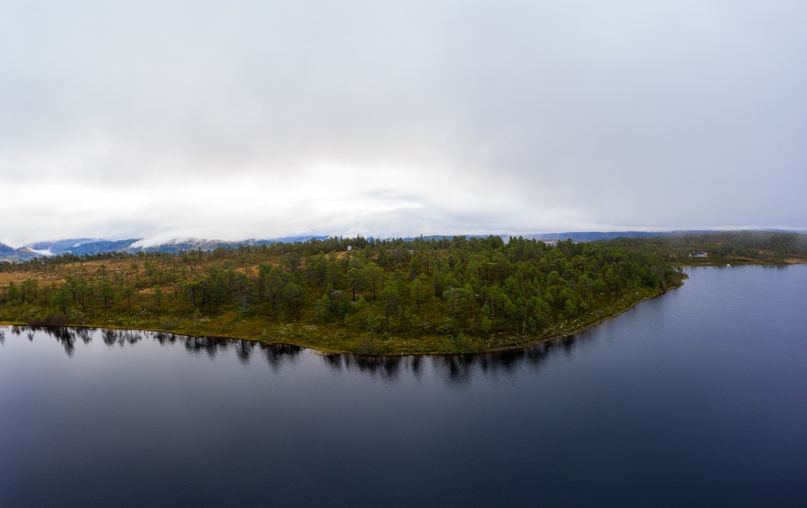 Hytte felt 1 Galleribilde