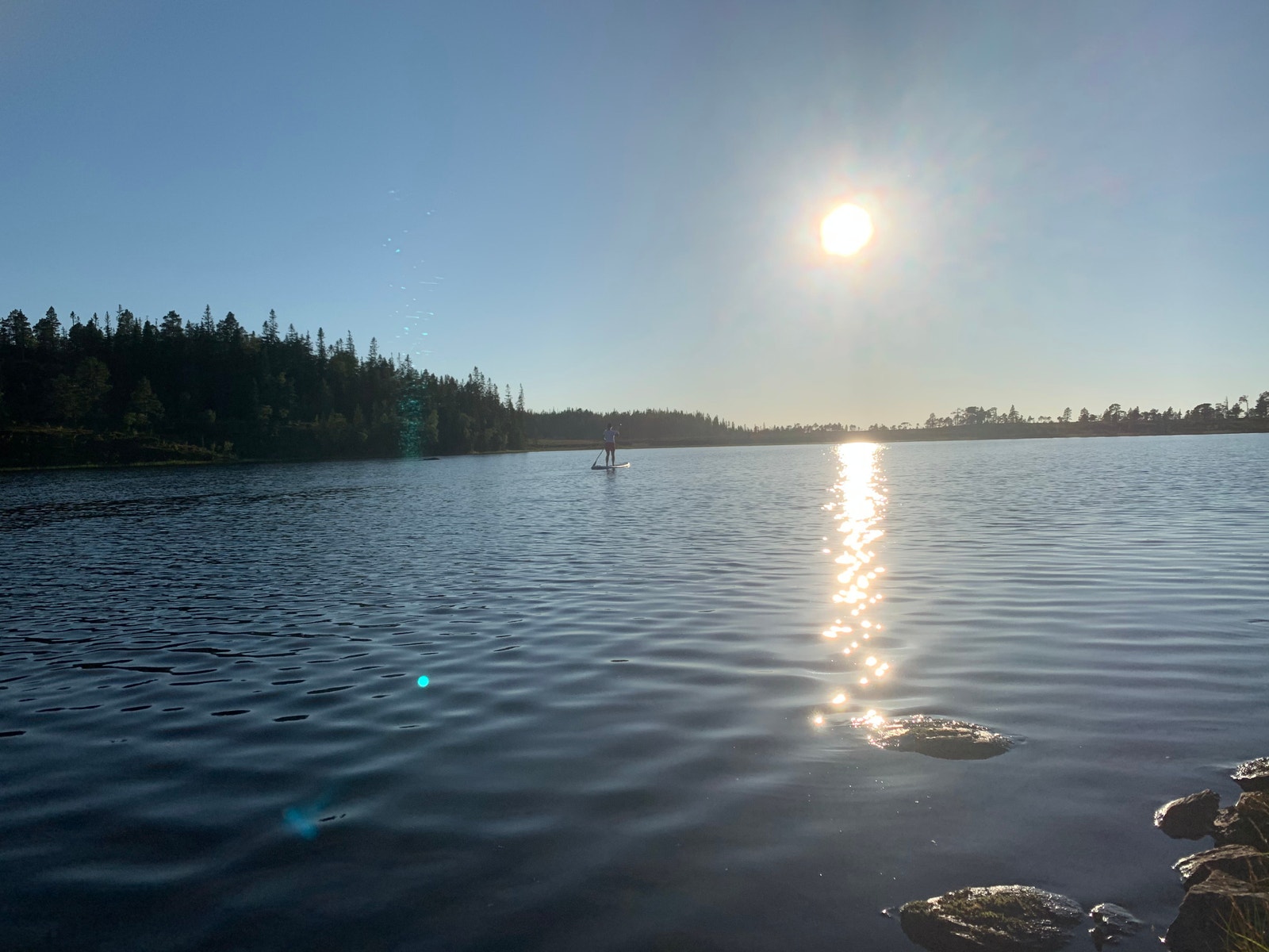 Varm ettermiddag Galleribilde