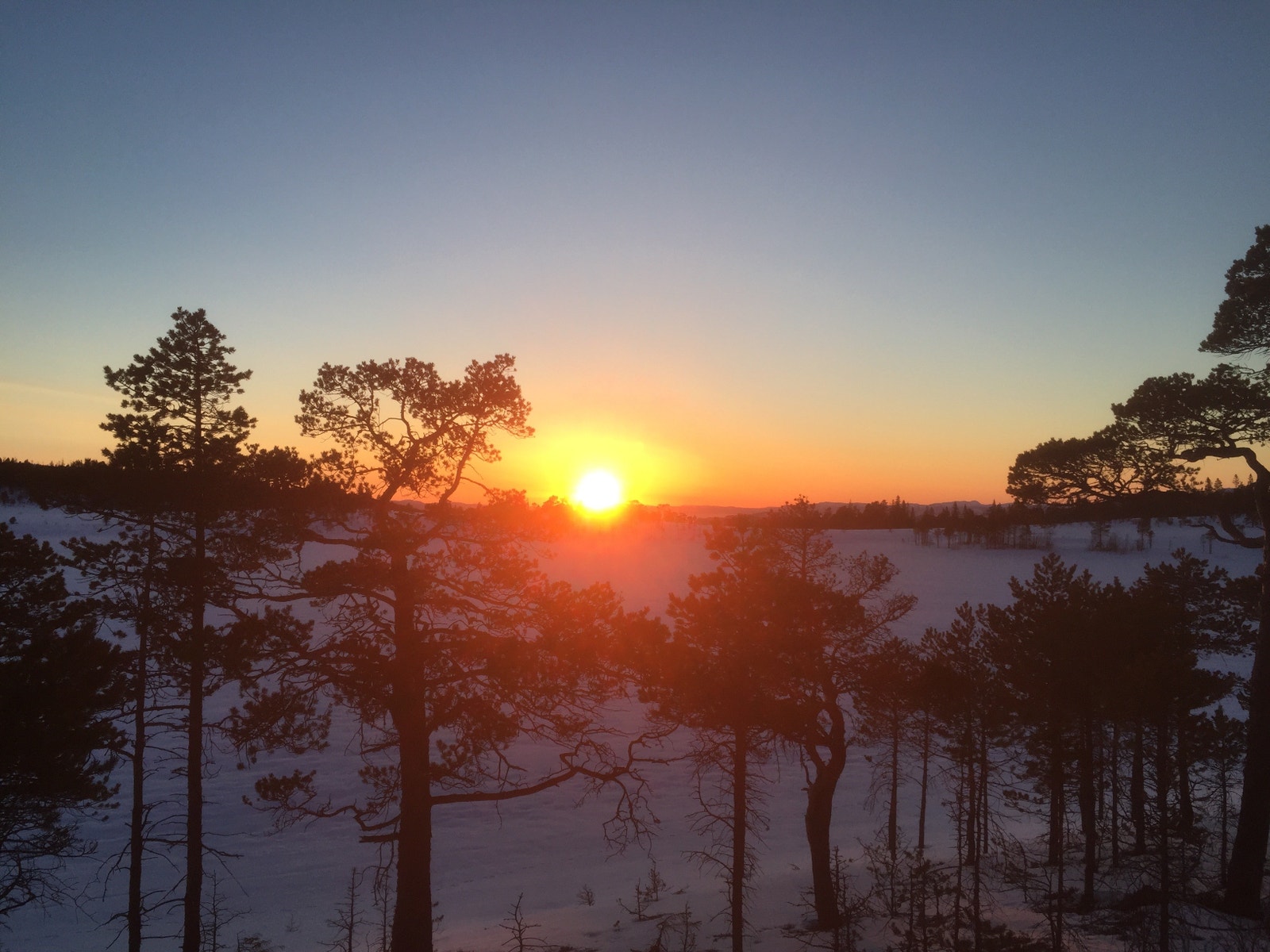 Fine solnedganger Galleribilde