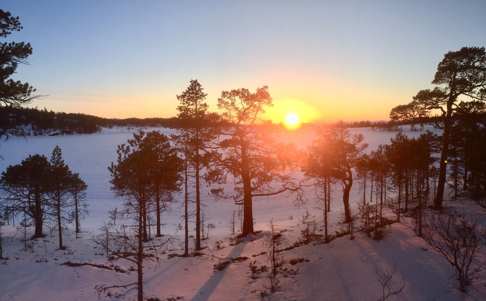 Fine solnedganger Galleribilde