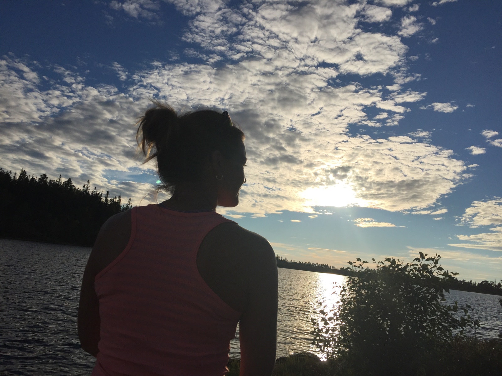 Friluftsliv Galleribilde