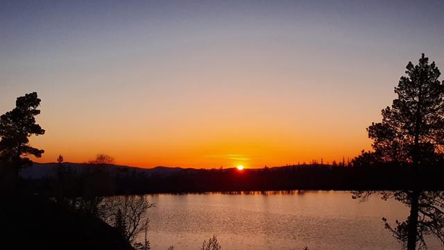 Fine solnedganger Midt sommer 23.15. Galleribilde