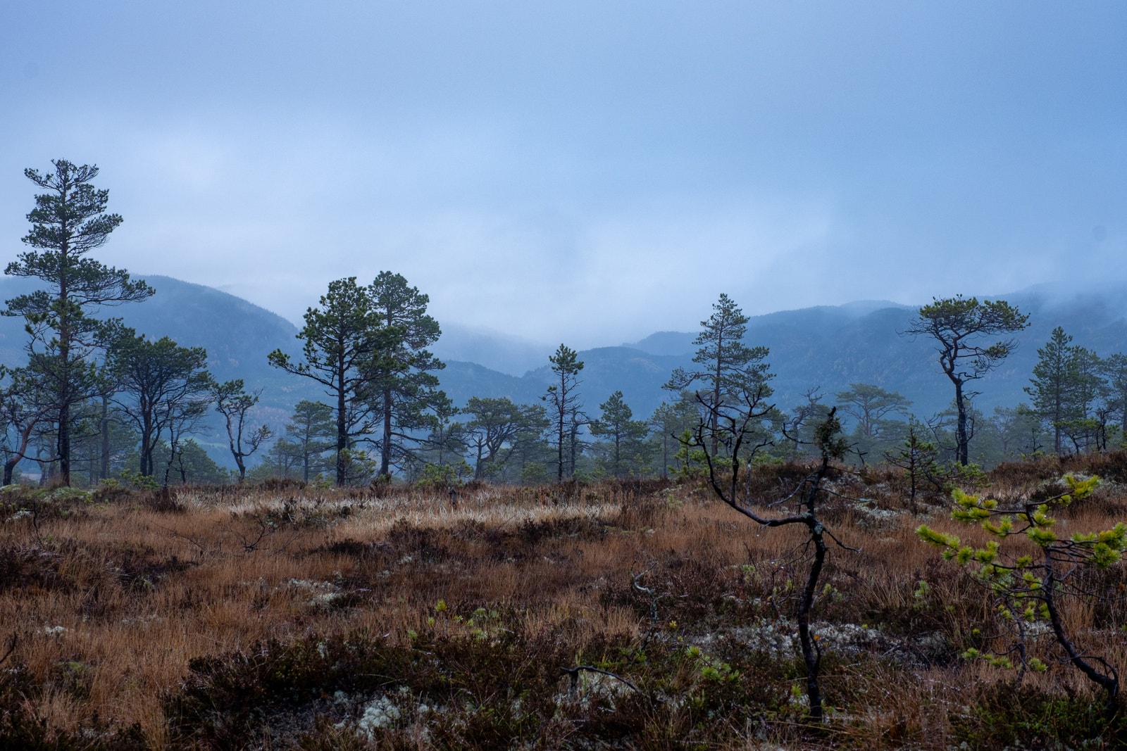 utsikt øst tomt Her har du 360 panorama. Galleribilde