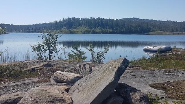 Friluftsliv Galleribilde