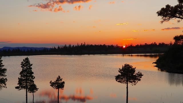 Fine solnedganger Galleribilde