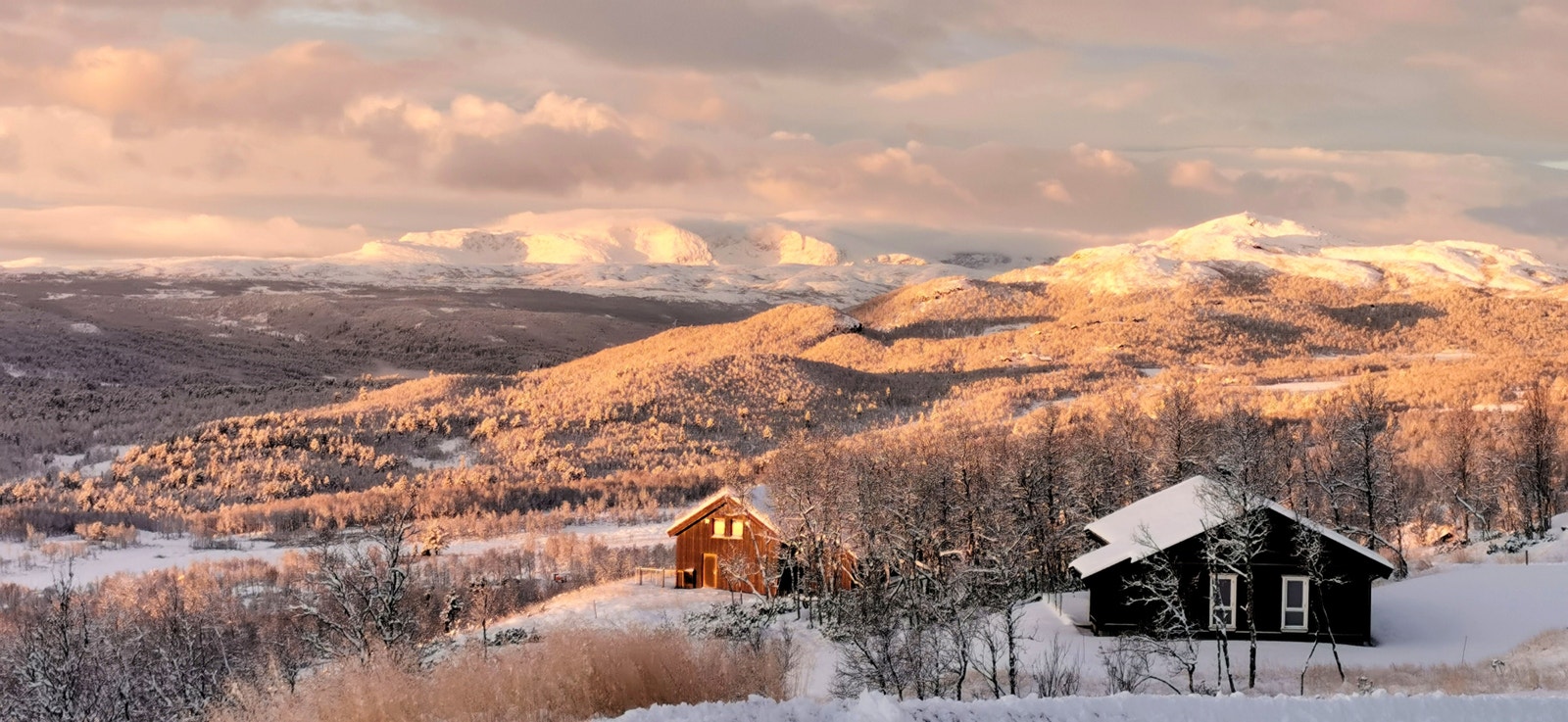 22.oktober 2020 Galleribilde