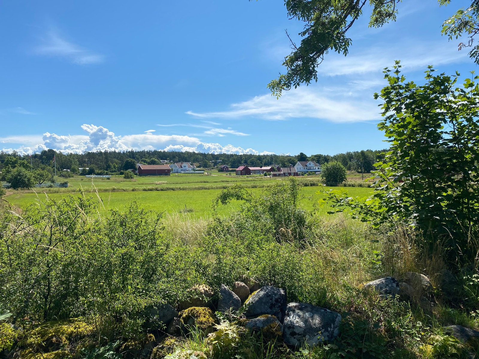 Idyllisk bondelandskap rett utenfor døra Galleribilde