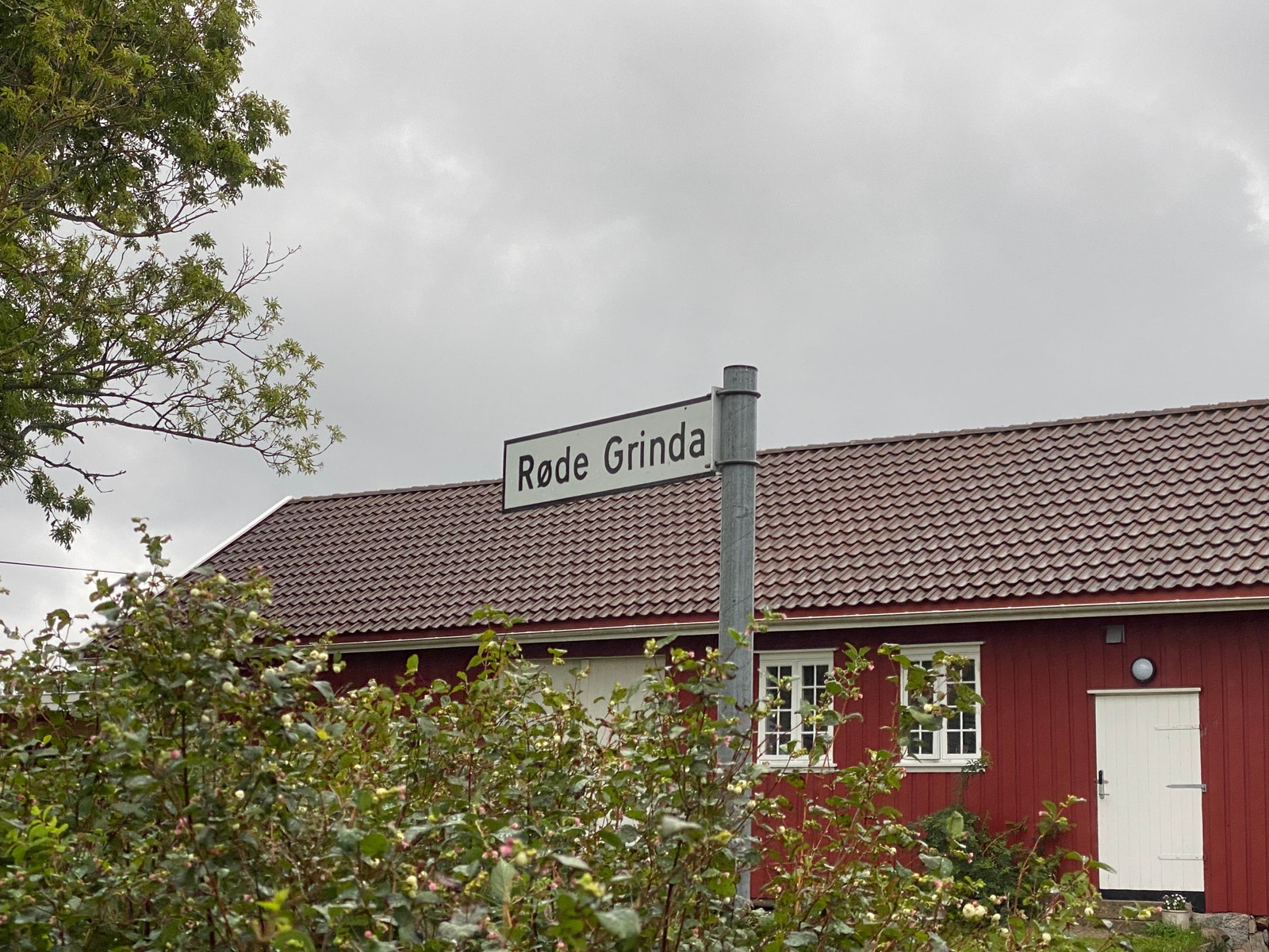 Røde Grinda Galleribilde