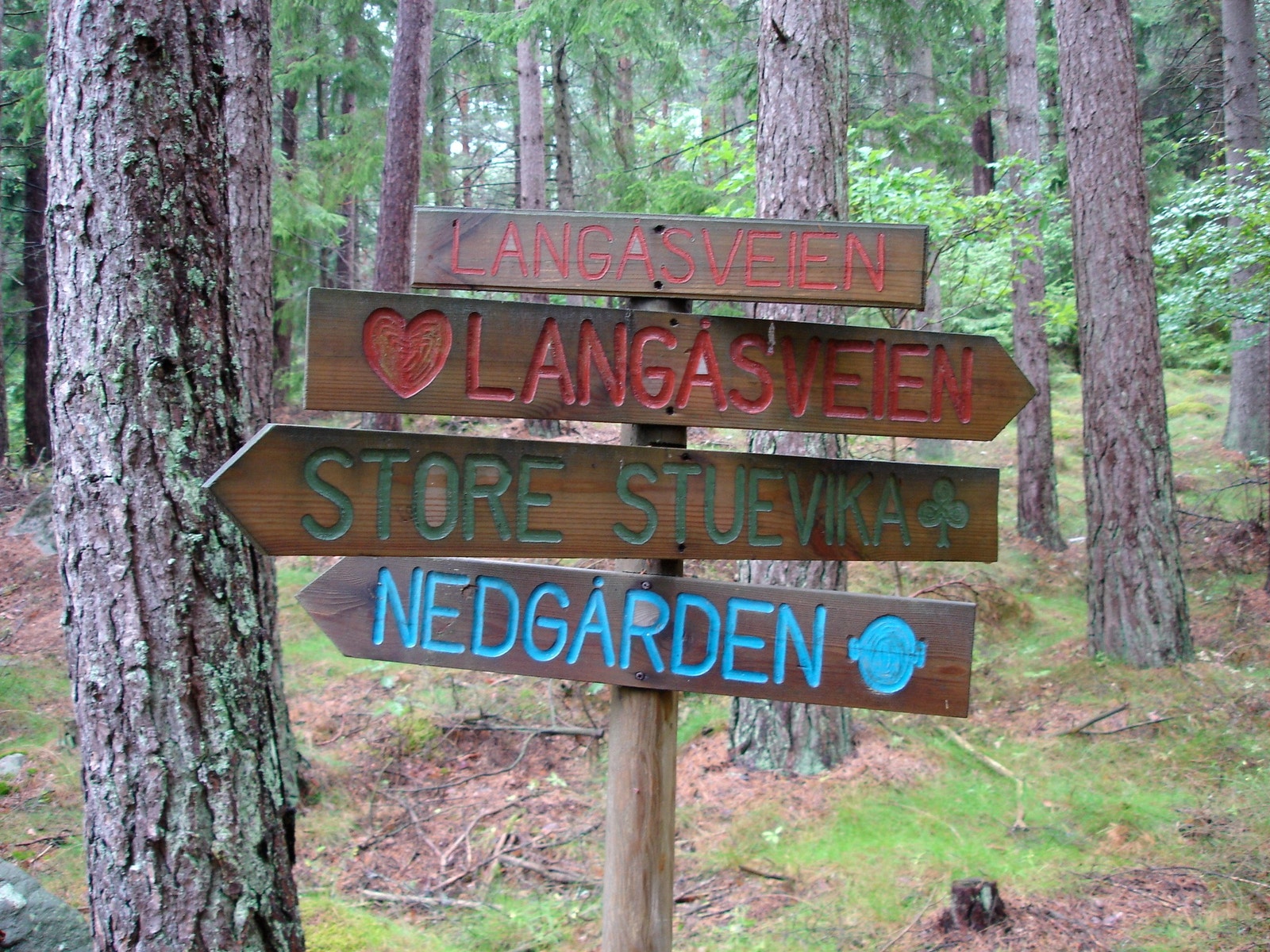 .....gjerne på kryss og tvers Galleribilde