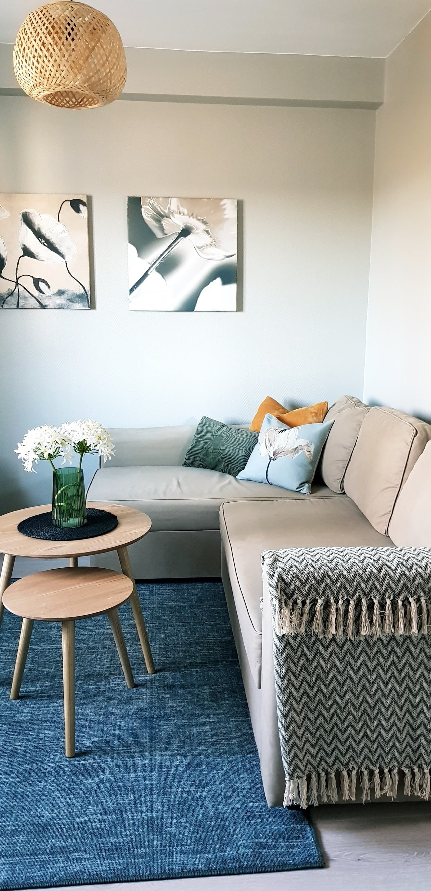 Rom 209 Galleribilde