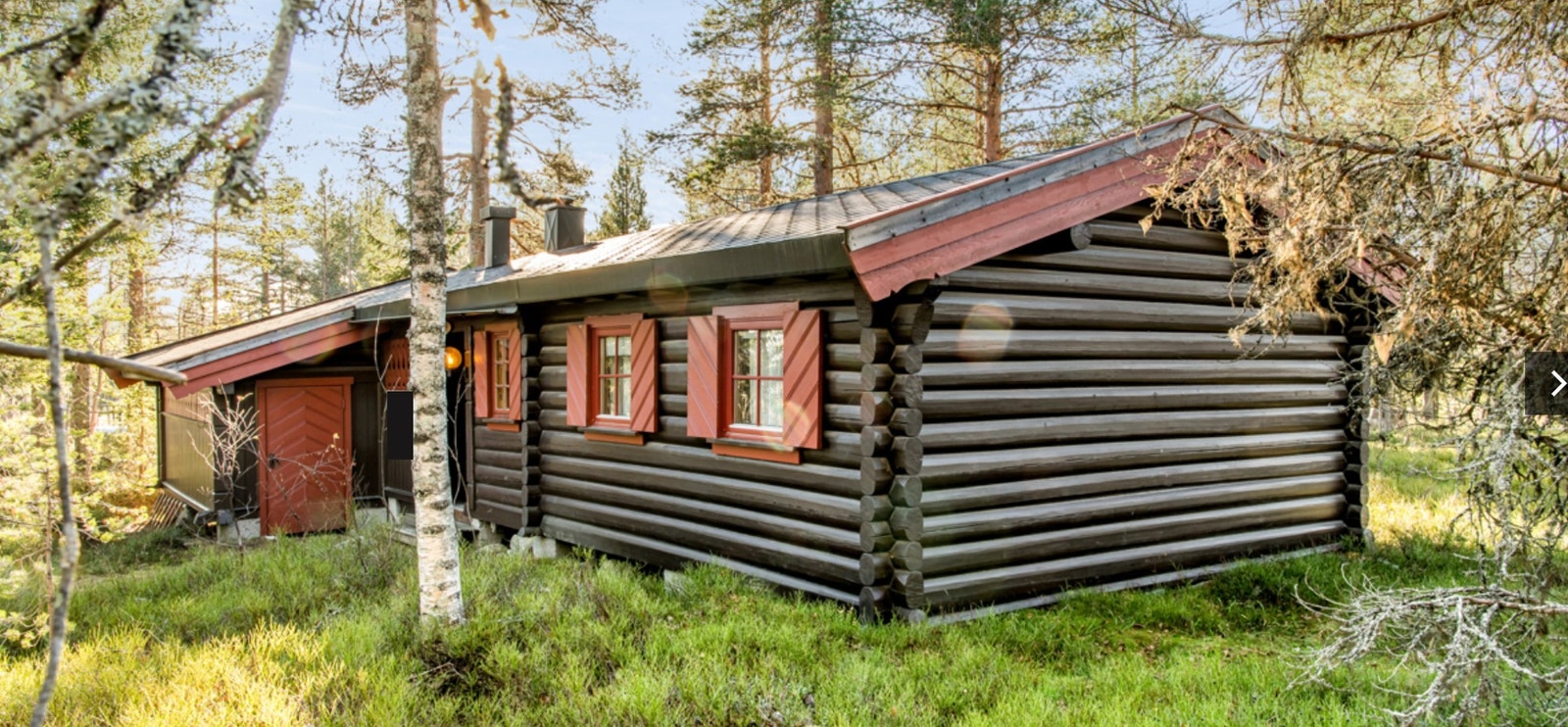 Forsiden på sommeren. Galleribilde