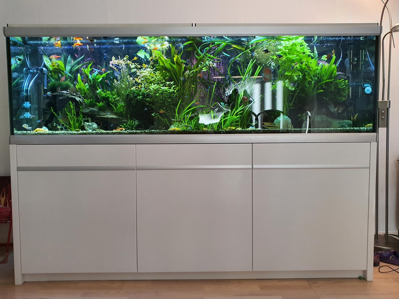 Akvarium Aquastabil 720l (full utstyrt ) | FINN.no Akvarium 70 L pent brukt med alt utstyr | FINN.no