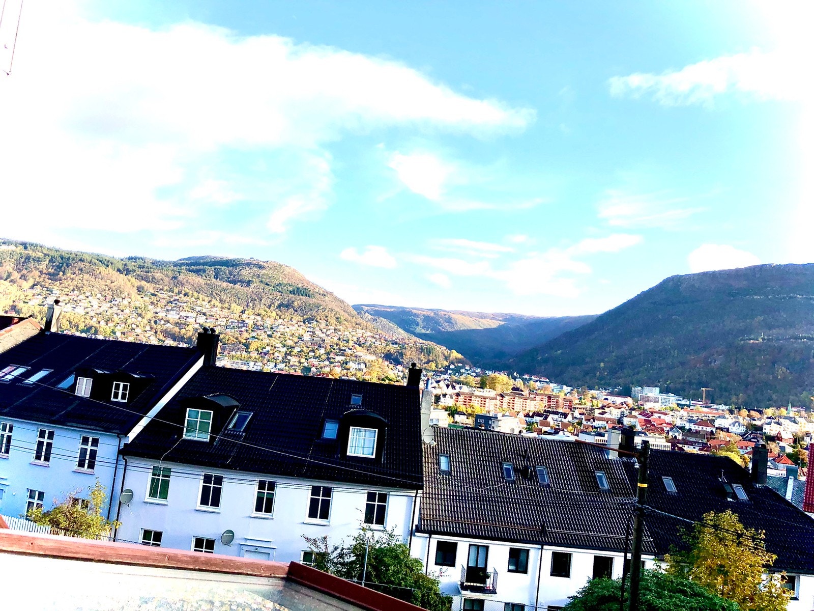 Utsikt mot fjellsiden Galleribilde