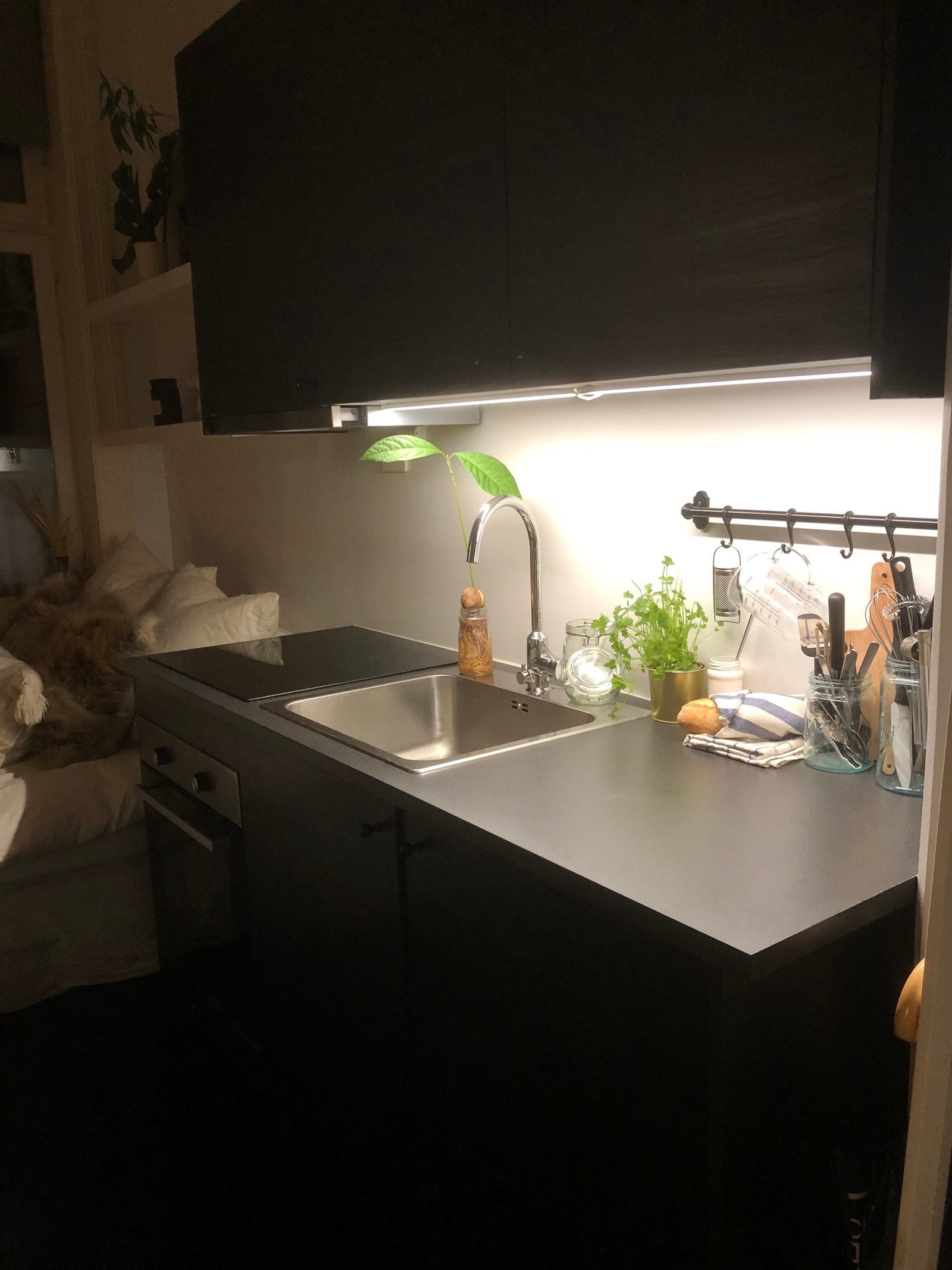 Kjøkken fra 2017 Galleribilde