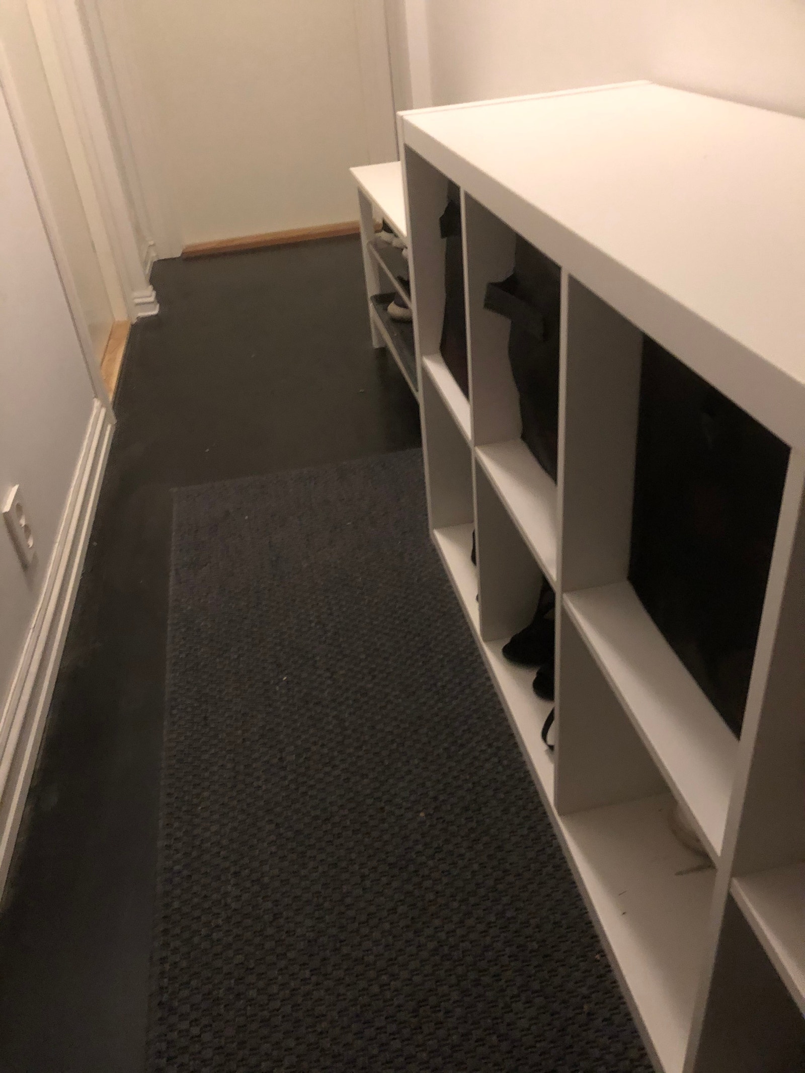 Felles gang med den største hybelen Galleribilde