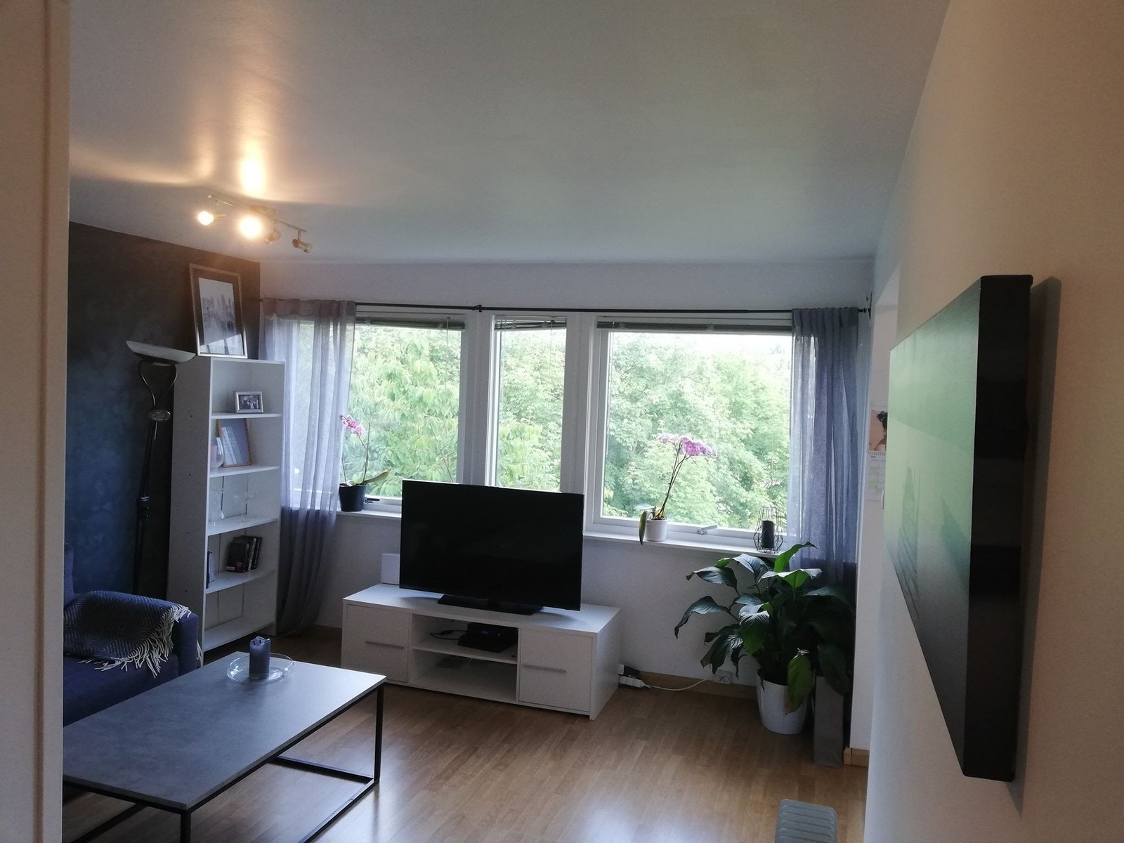 Stue sett fra gang Galleribilde