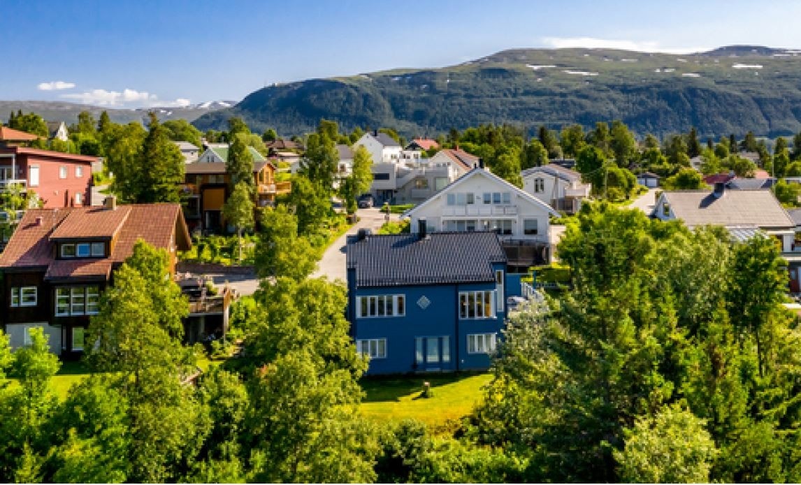 Oversiktsbilde - (blå hus) Galleribilde