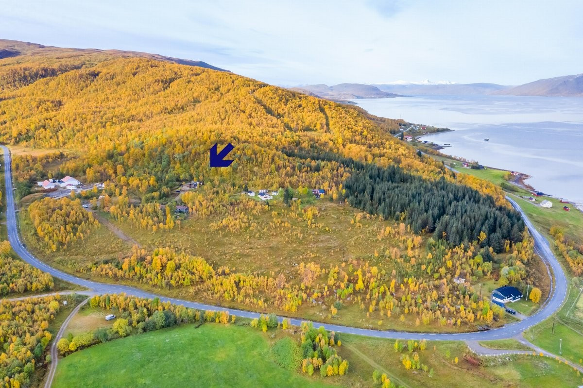 Her får du trivelige hyttenaboer og nærhet til Tromsø by