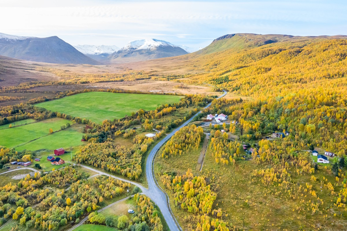Fine rekreasjonsområder i skog og mark
