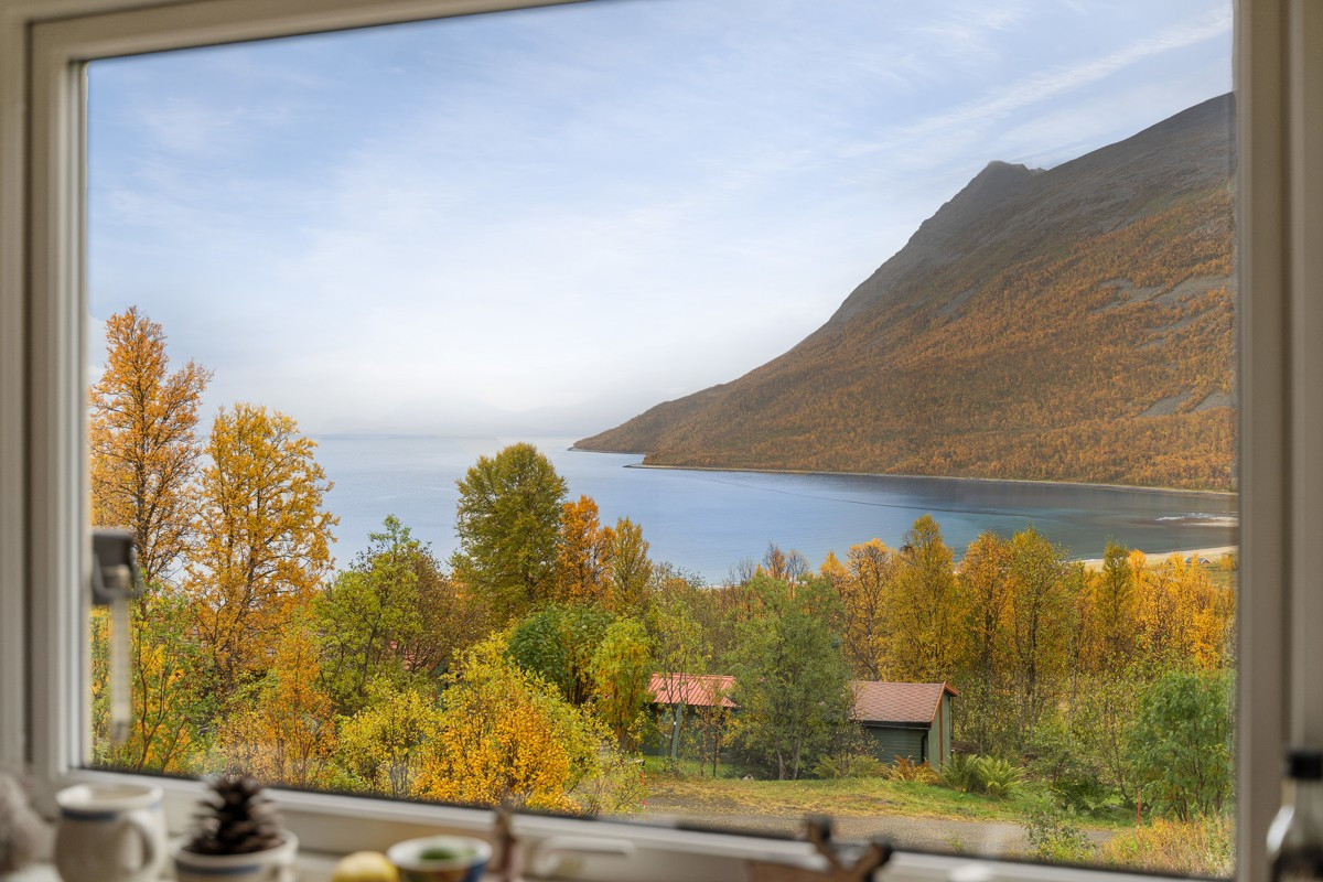 Herfra nyter du et vakkert skue mot hav og fjell