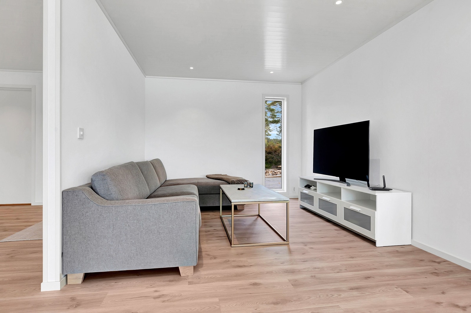 Tv-stue Galleribilde