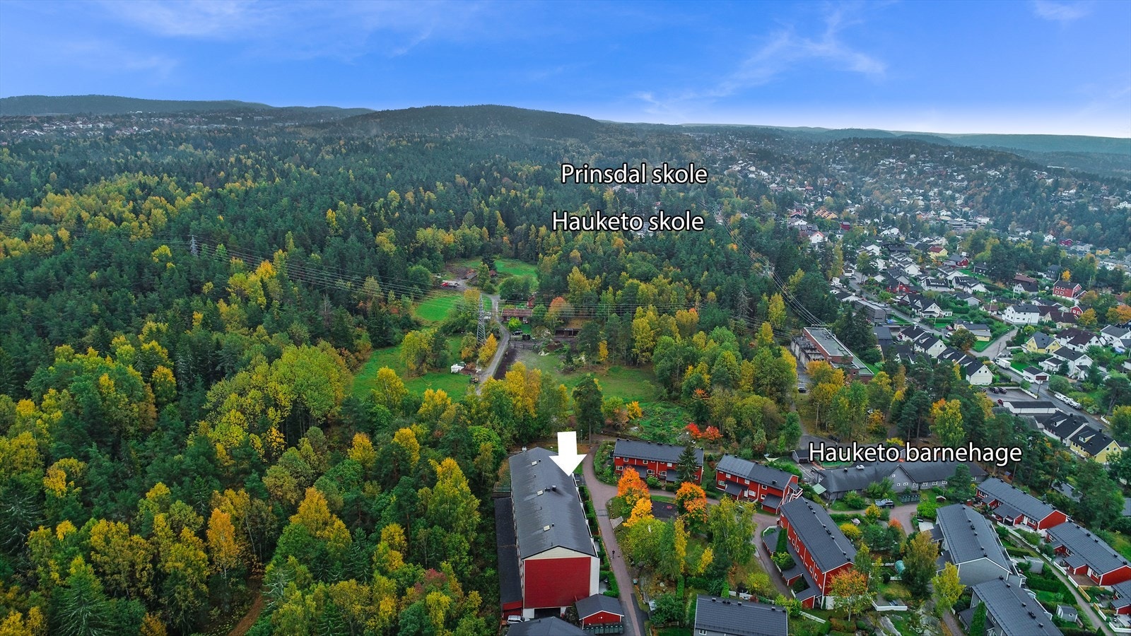 Grønt og frodig område! Galleribilde