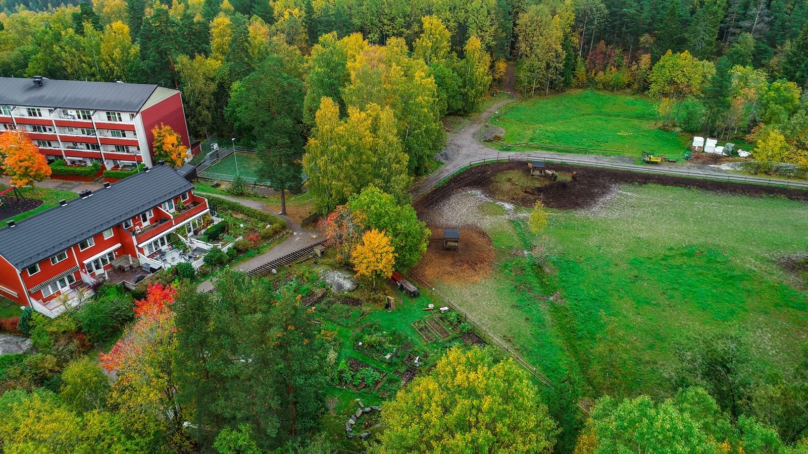 Burud Gård og Oldtidshagen i nærområde! Galleribilde