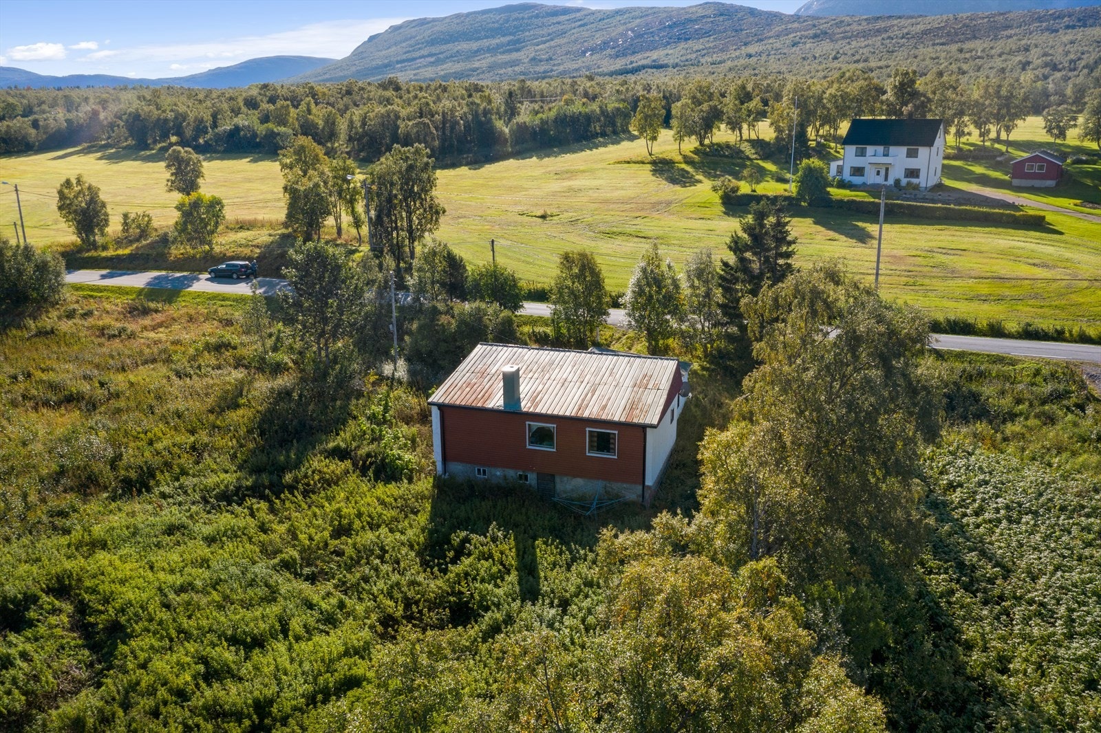 Naturtomt. Galleribilde